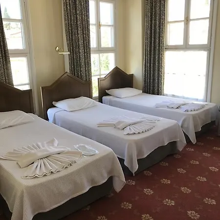 Konukevi Antik Ridvan 4*